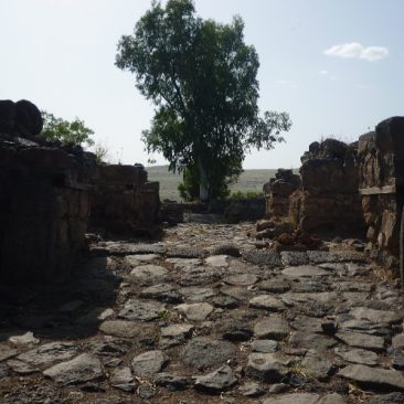 Bethsaida- ville maudite