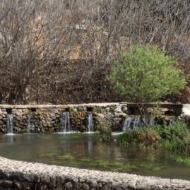 Banias - source