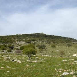 le mont Carmel