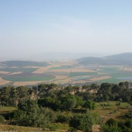 vallée de Jizreel
