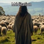 Jésus manifeste son amour en prenant soin des brebis Un berger avec son troupeau illustrant Luc 15:4